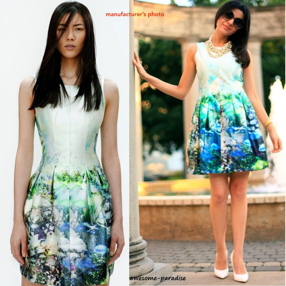 Zara Fish Print Dress, Influencer favorite, size M.